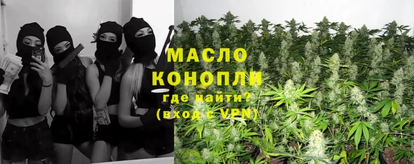 молекула духа Инсар