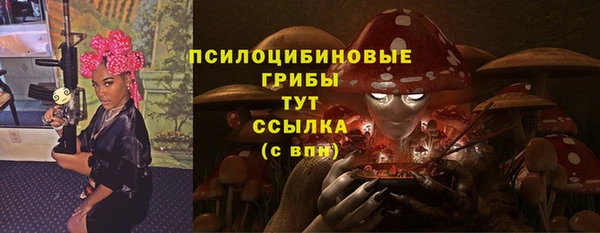 гидра Алзамай