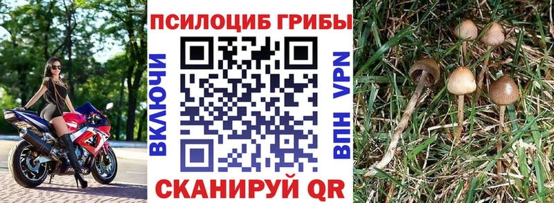 цена наркотик  Безенчук  Галлюциногенные грибы прущие грибы 